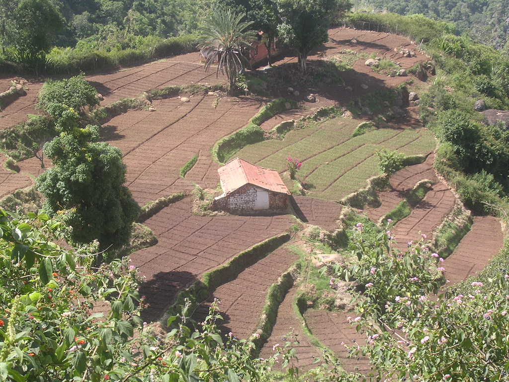 Fattoria nei pressi di Ooty